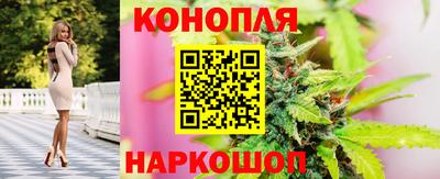 spice Мариинск