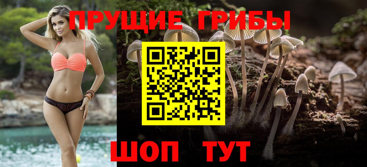 Дербент  Псилоцибиновые грибы ЛСД  Вход с VPN  Псилоцибиновые грибы Psilocybe 