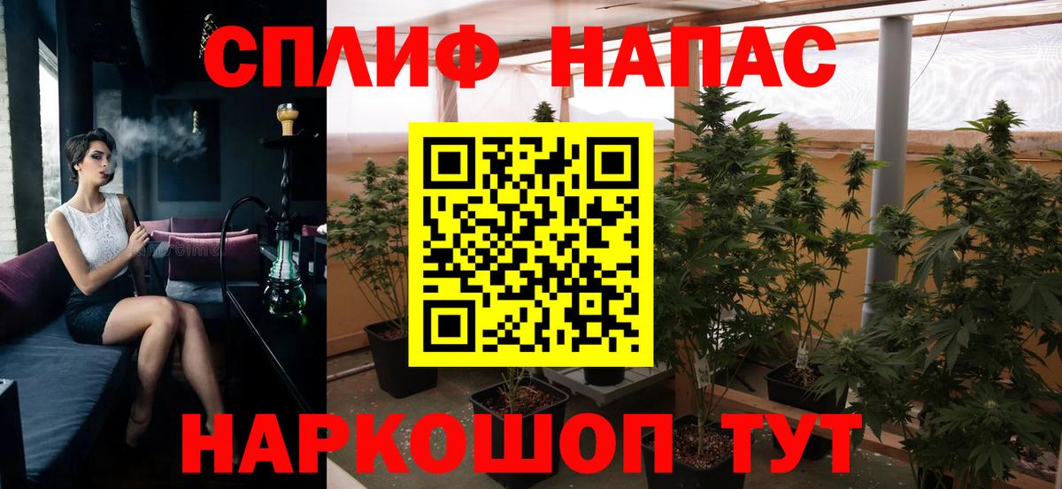 Конопля AK-47 Дербент